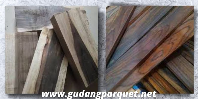 status kayu sonokeling