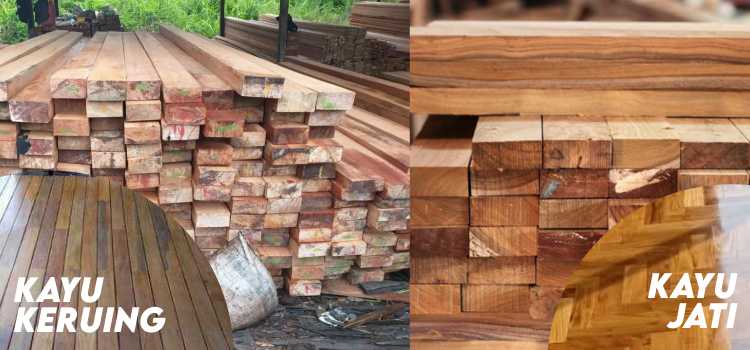 kayu keruing vs kayu jati
