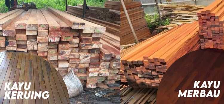 kayu keruing vs kayu merbau
