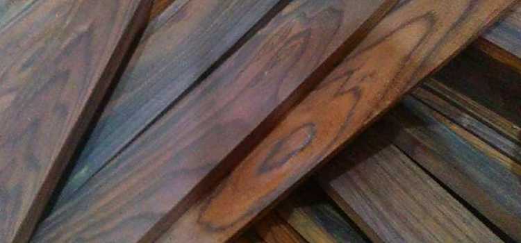 fakta unik kayu sonokeling