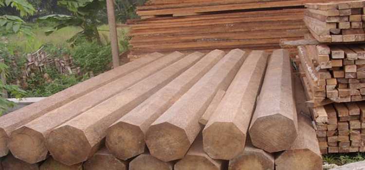 kayu untuk furniture