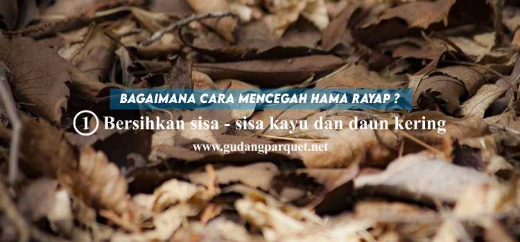 cara mencegah rayap