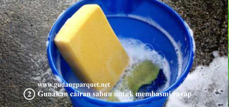tips membasmi rayap