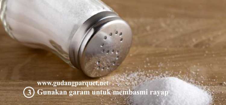 garam untuk membasmi rayap