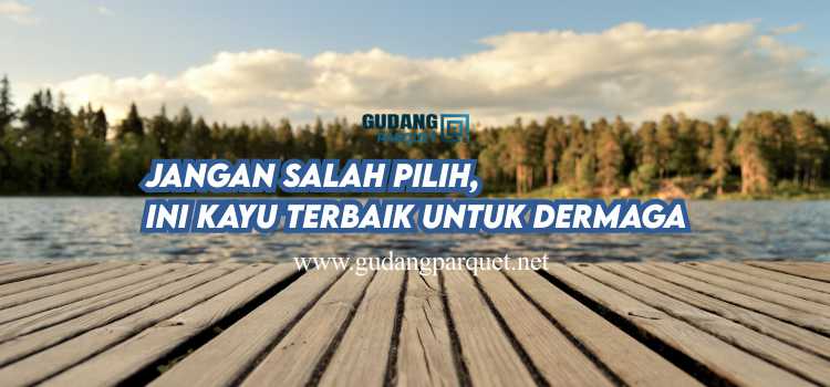 dermaga