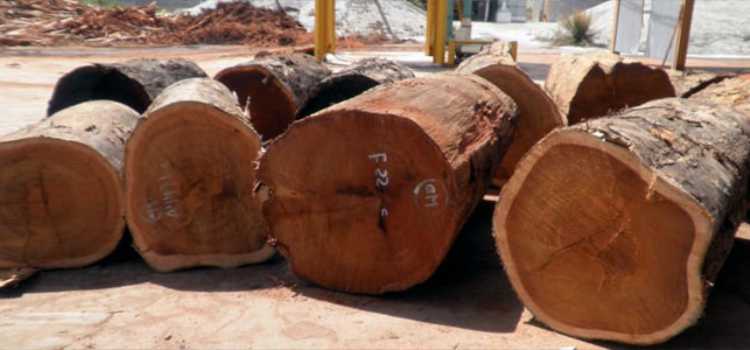 kayu merbau