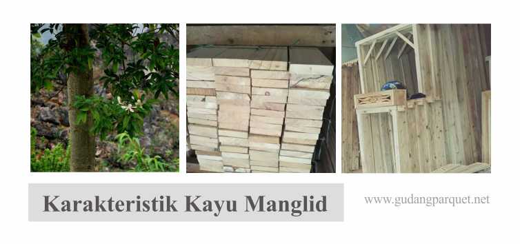 Karakteristik kayu manglid