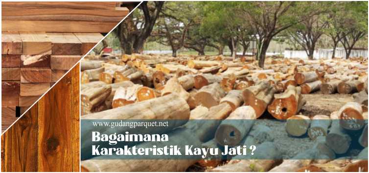 karakteristik kayu jati