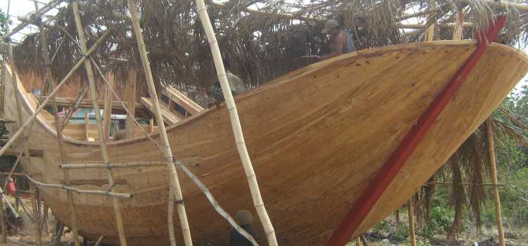 Karakteristik Kayu Jati