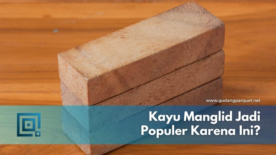 kayu manglid (2) kayu manglid