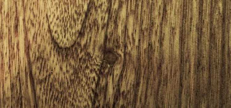 motif kayu sungkai