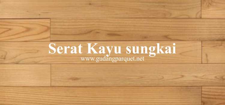 serat kayu sungkai