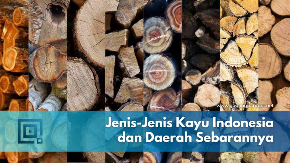 jenis kayu indonesia dan daerah sebarannya