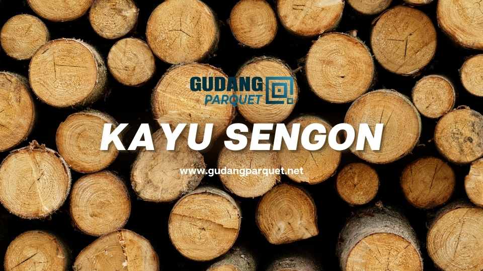 kayu sengon