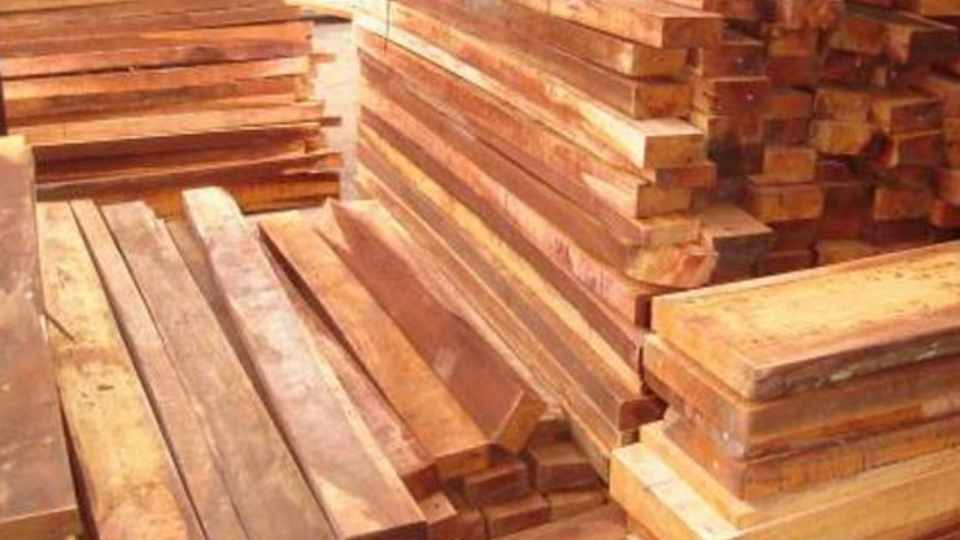 harga kayu sengon