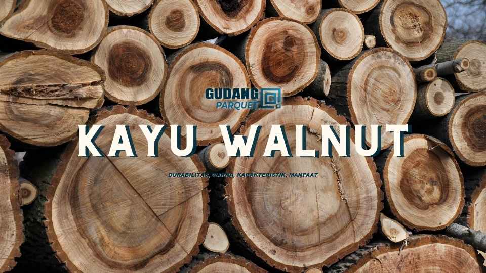 KAYU WALNUT