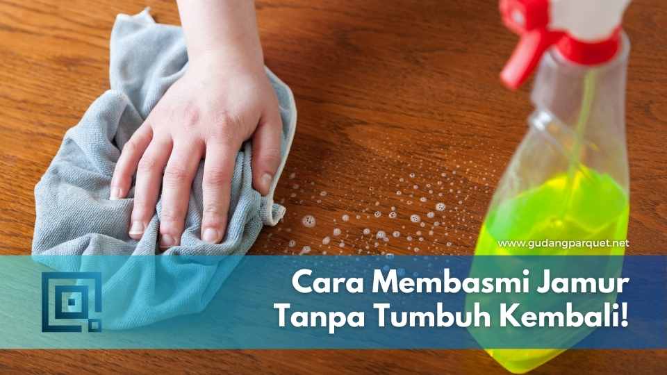 Cara Menghilangkan Jamur Pada Kayu, Tanpa Tumbuh Kembali! Cara menghilangkan jamur pada lemari