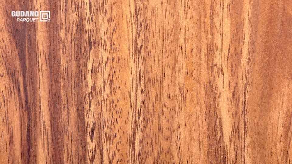 Kayu Akasia