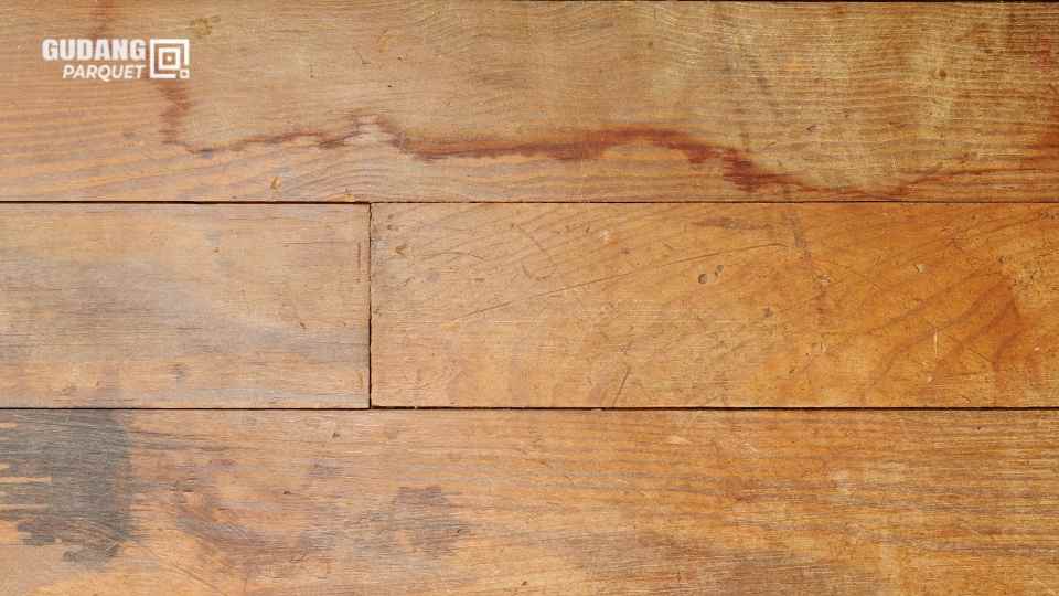 lantai kayu lembab