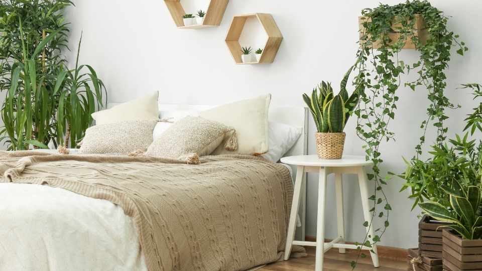 dekor kamar kos murah