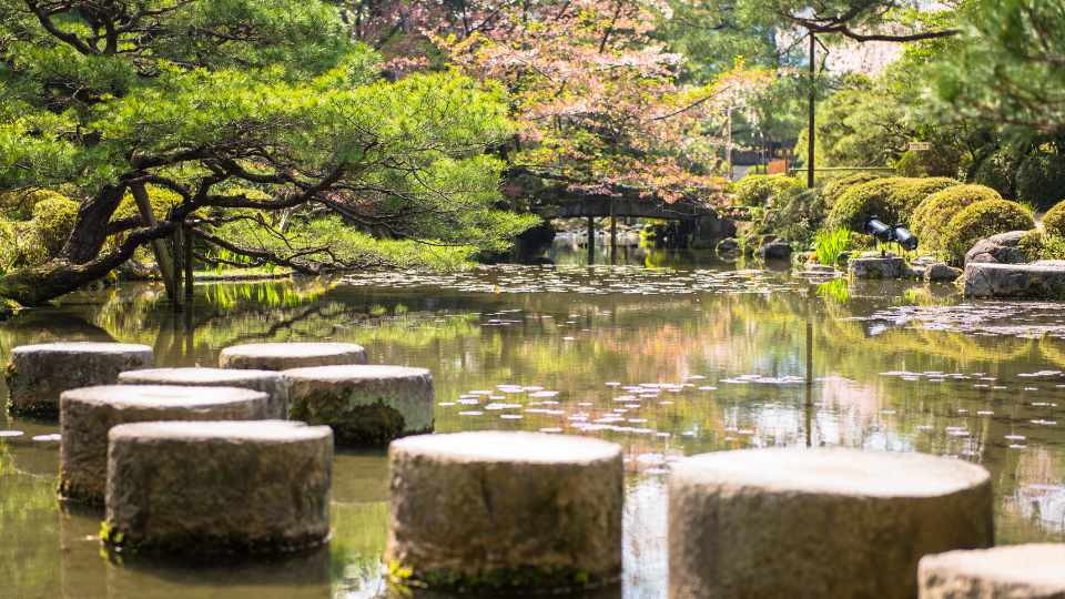Zen Garden