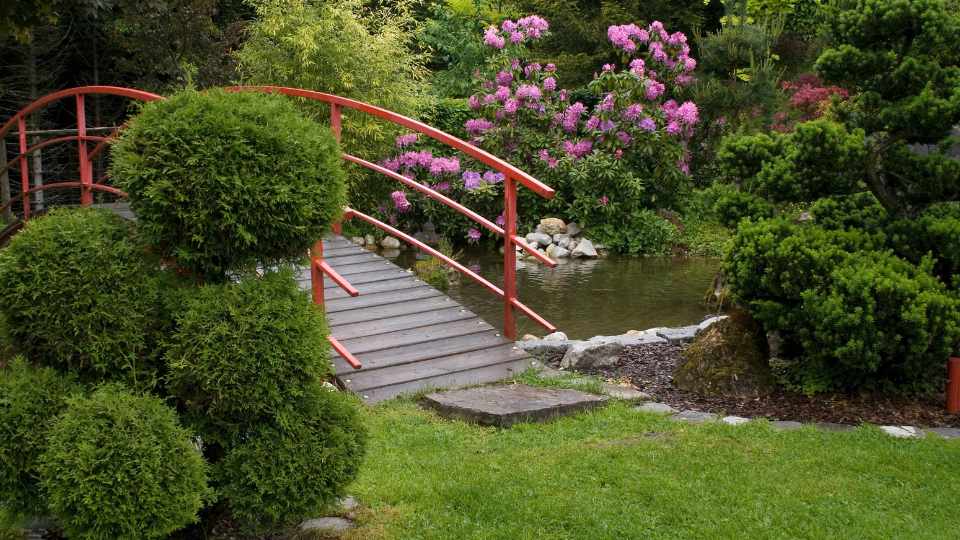 Zen Garden