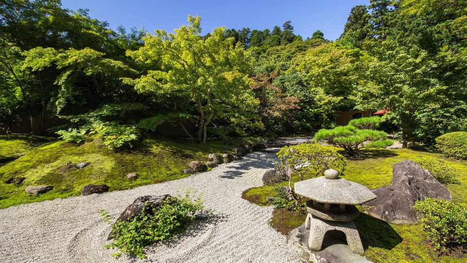 Zen Garden