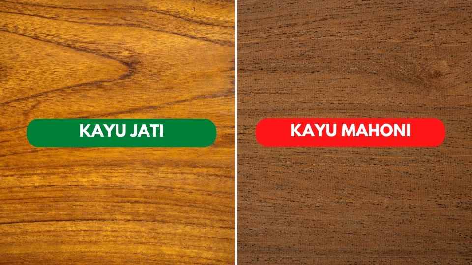 Kayu Mahoni VS Jati Kayu Mahoni VS Jati