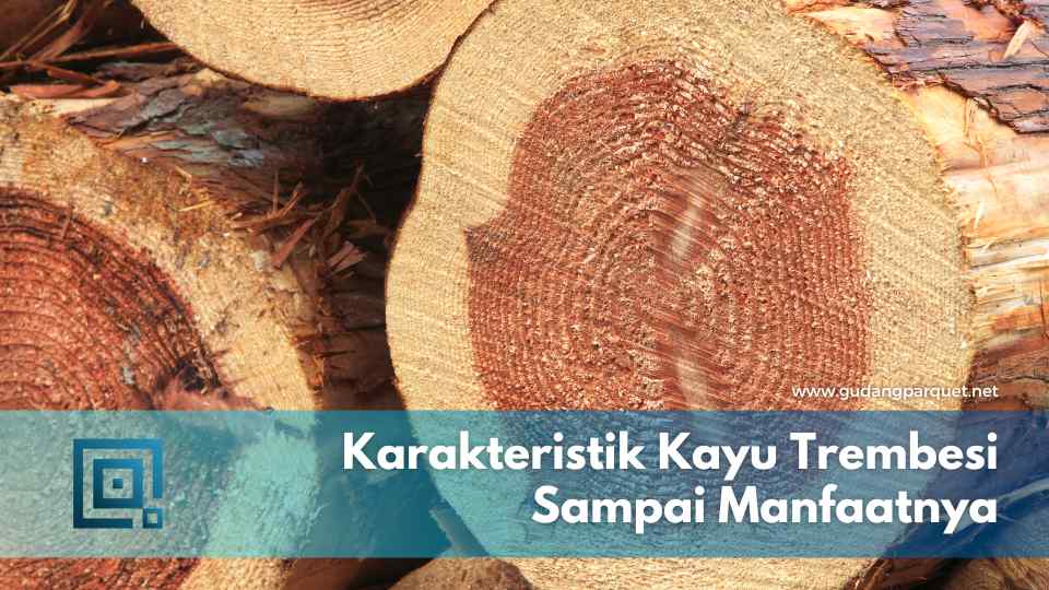 kayu trembesi