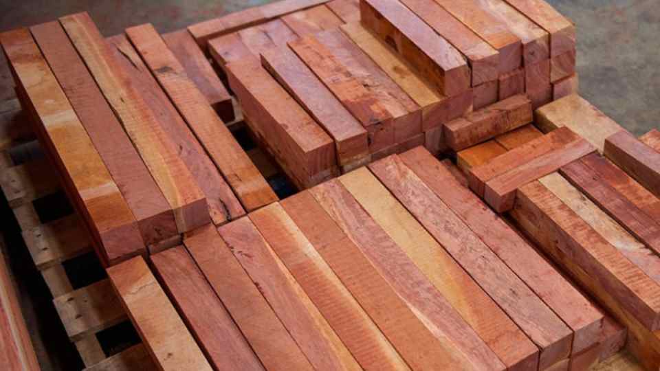 kayu bayur