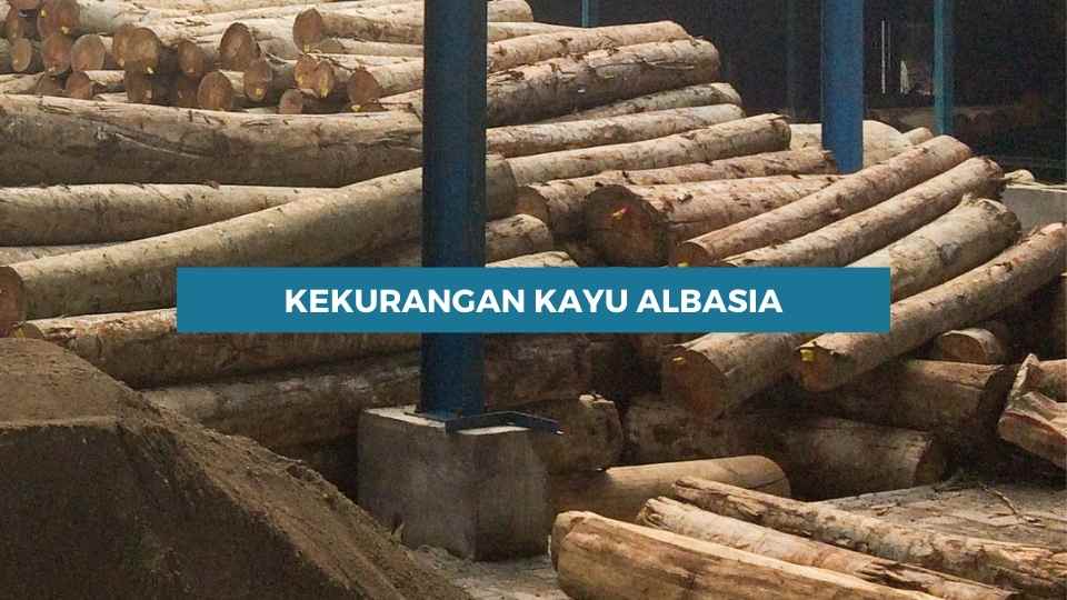 kelebihan dan kekurangan kayu albasia