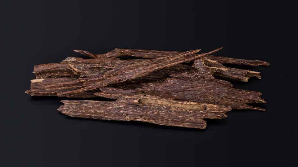 kayu gaharu