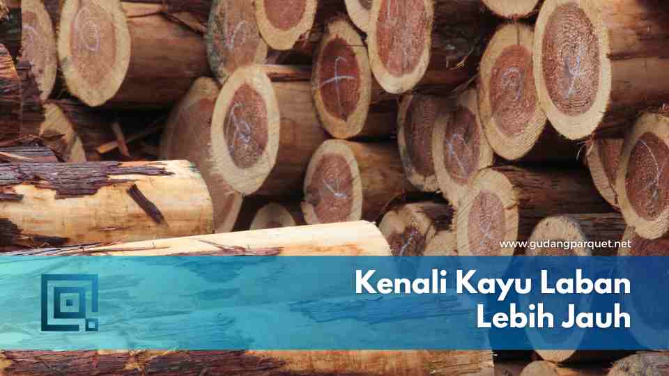kayu laban