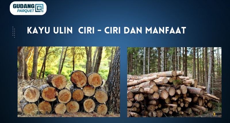kayu ulin kalimantan