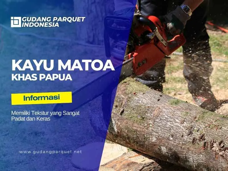 fakta kayu matoa fakta kayu matoa