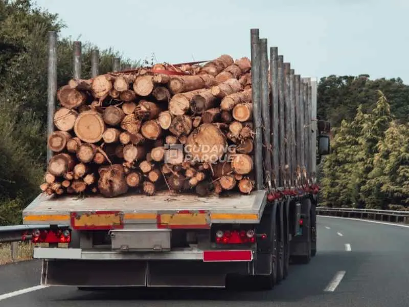 harga kayu matoa yang mahal