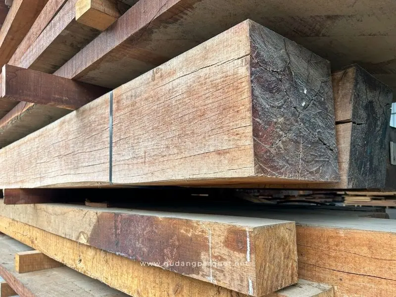 Kelebihan dan Kekurangan Kayu Torem
