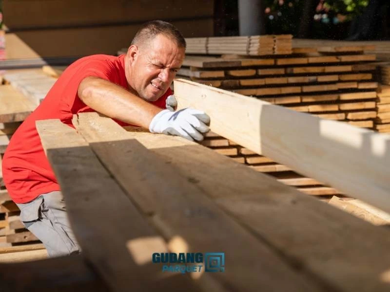 kayu birch