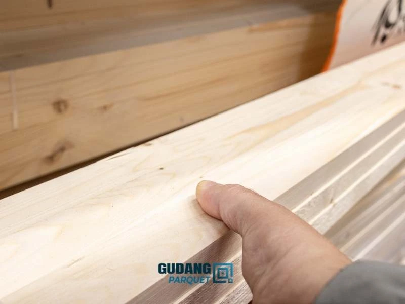 kayu maple