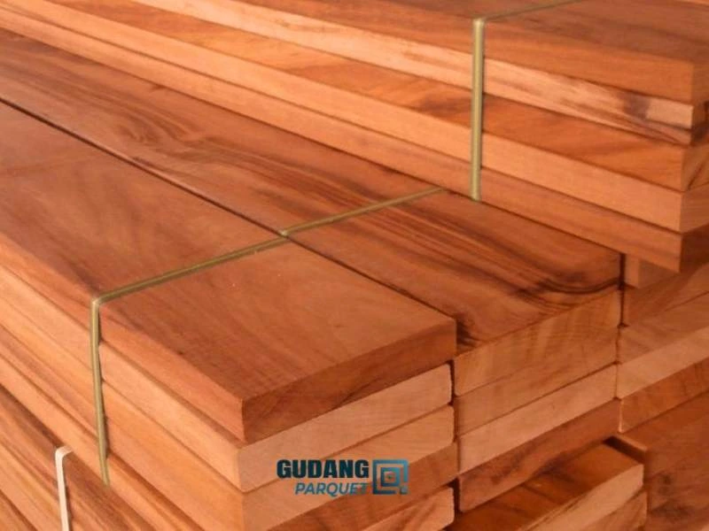 kayu merbau