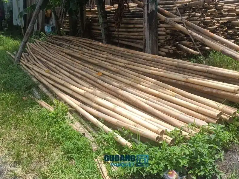 fakta lantai bambu